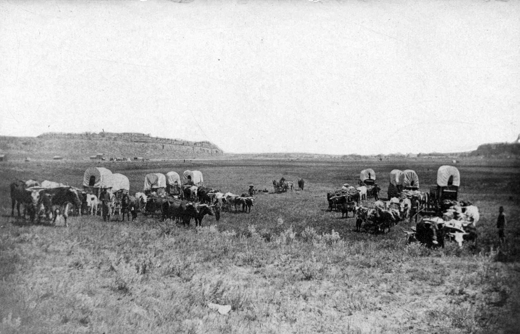 Freighter's outfit near Coulson, 1882